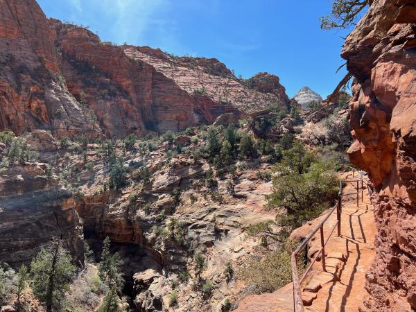 Hike in Zion National Park